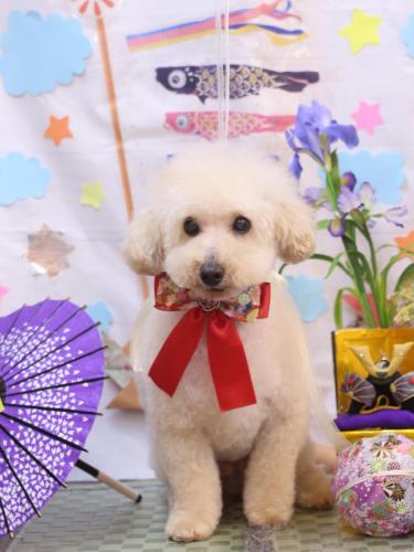 20240521こじろうくん